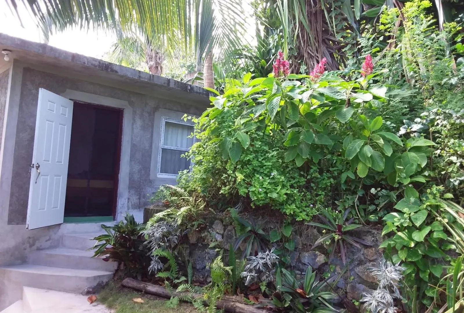 Port Antonio Brian'S Beach House 0*, Port Antonio