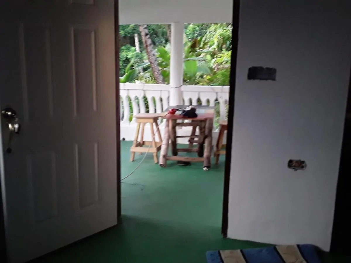 Port Antonio Brian'S Beach House Bed & Breakfast
