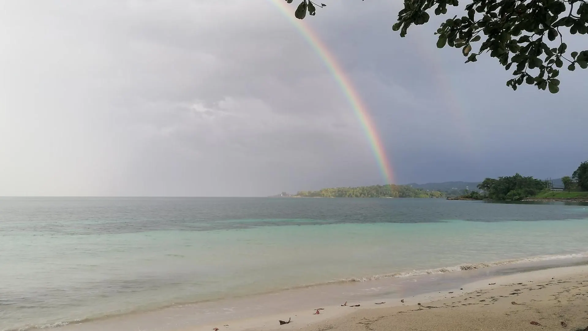 Bed & Breakfast Port Antonio Brian'S Beach House