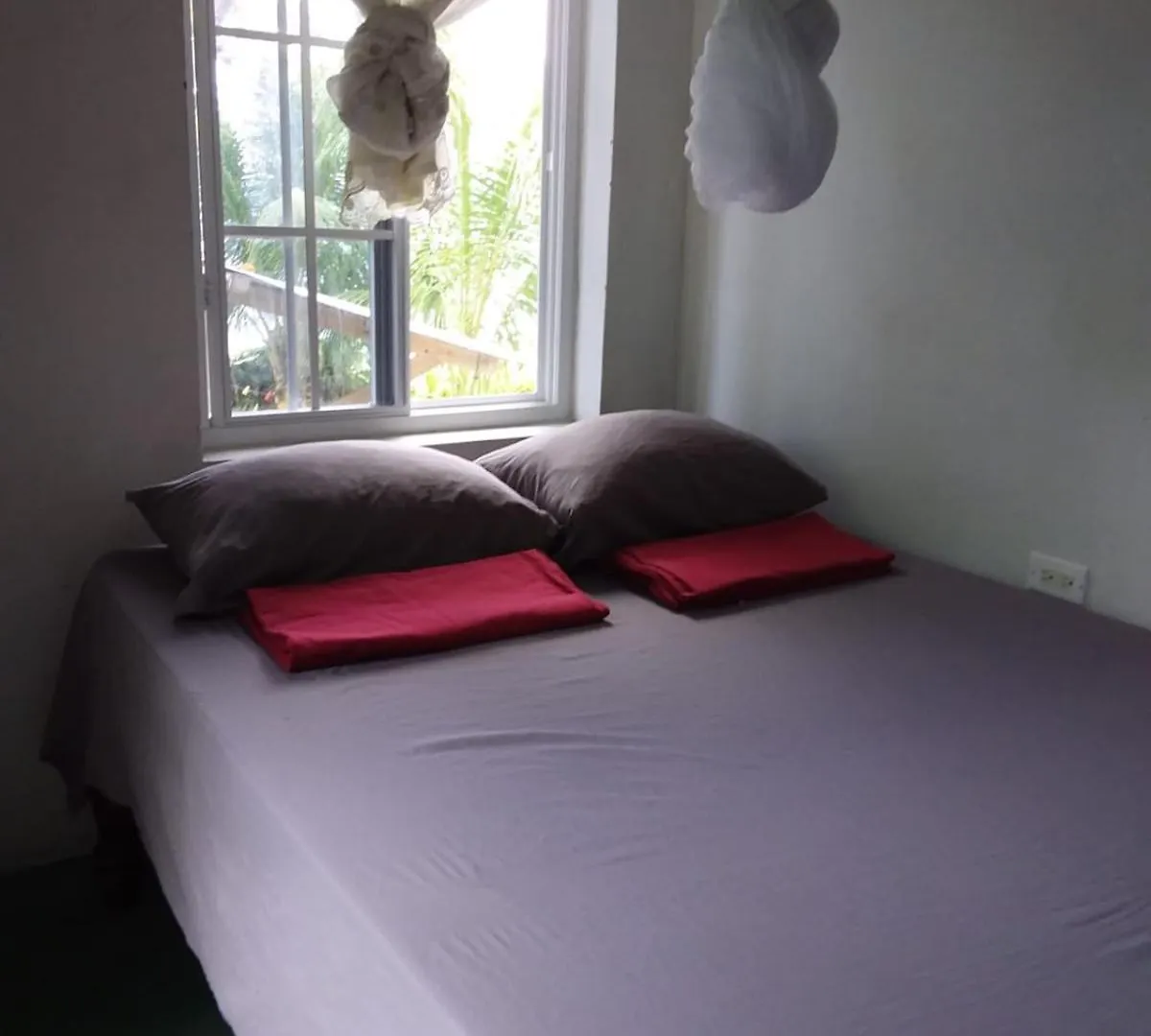 Bed & Breakfast Port Antonio Brian'S Beach House