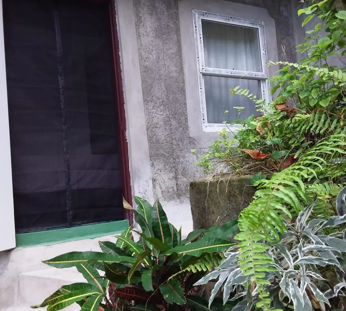 Bed & Breakfast Port Antonio Brian'S Beach House