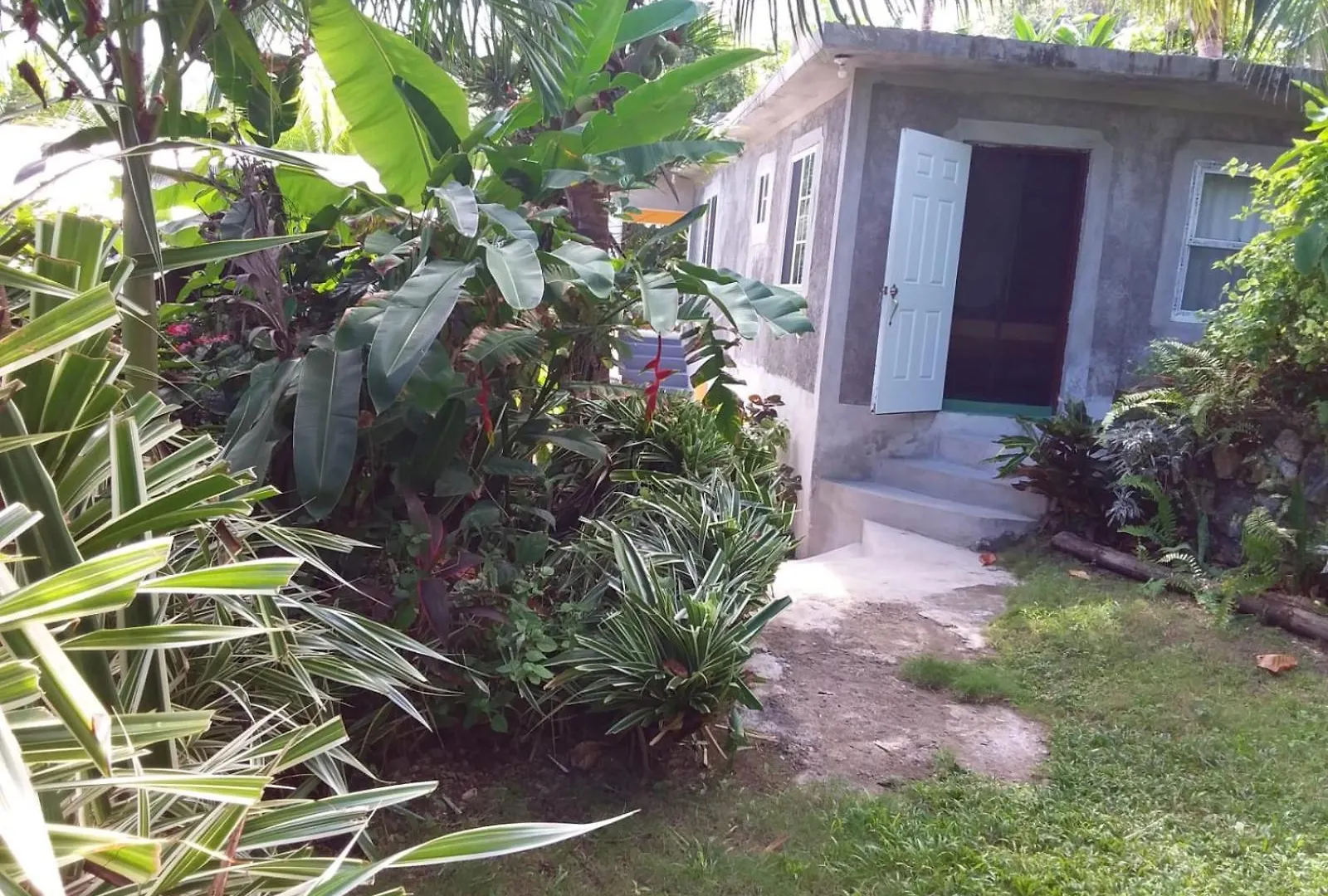 Port Antonio Brian'S Beach House Bed & Breakfast Port Antonio