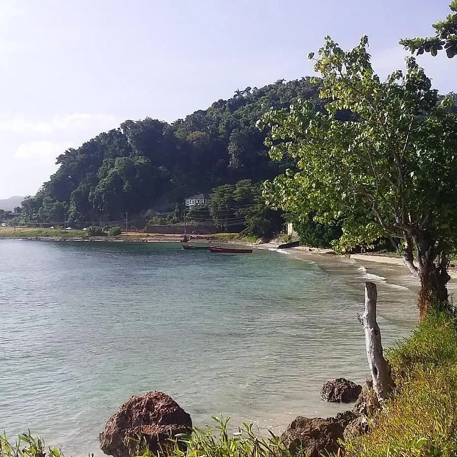 Bed & Breakfast Port Antonio Brian'S Beach House Jamaica