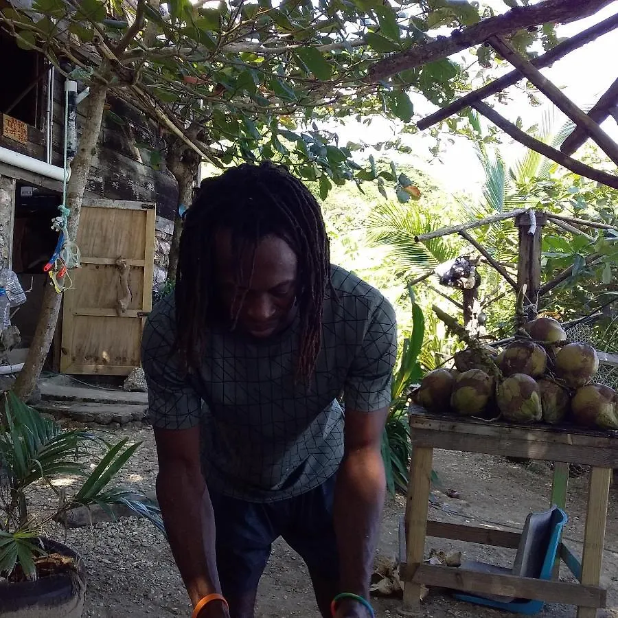 Bed & Breakfast Port Antonio Brian'S Beach House